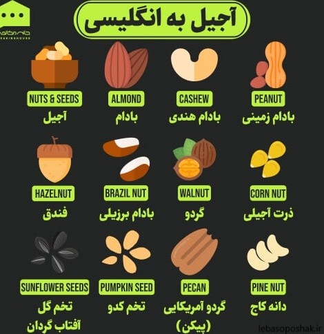 مدل لباس زنانه به انگلیسی