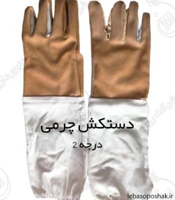 مدل انواع دستکش